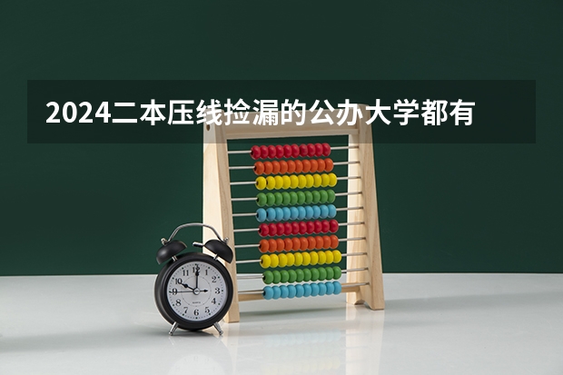 2024二本压线捡漏的公办大学都有哪些